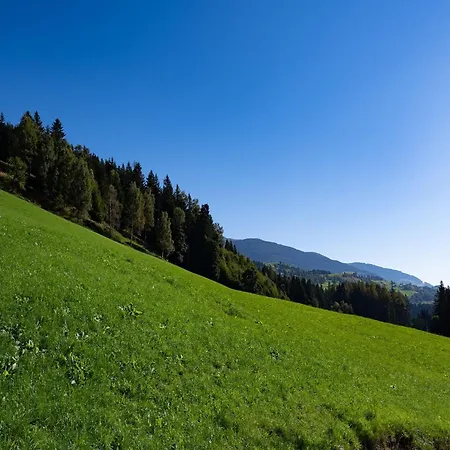 In Hollersbach Near Slopes, Cleaning Included Lejlighed *