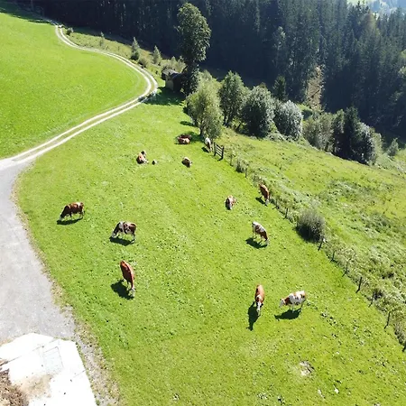 In Hollersbach Near Slopes, Cleaning Included